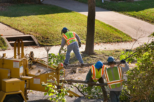 Best Lawn Irrigation Installation and Maintenance  in Fort Worth, TX